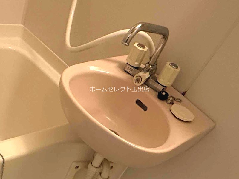 フルーレ住之江 洗面所