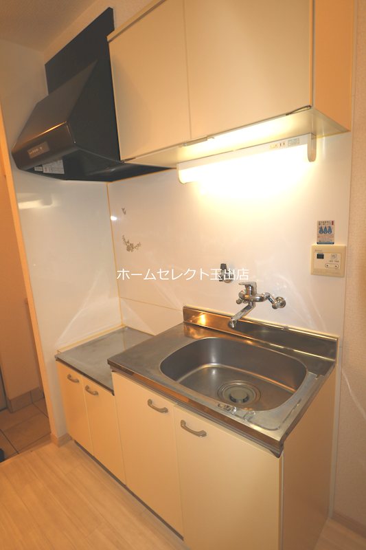 ルビーノ帝塚山 その他