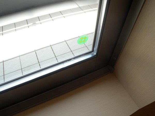 ドマーニ　アマービレ その他6