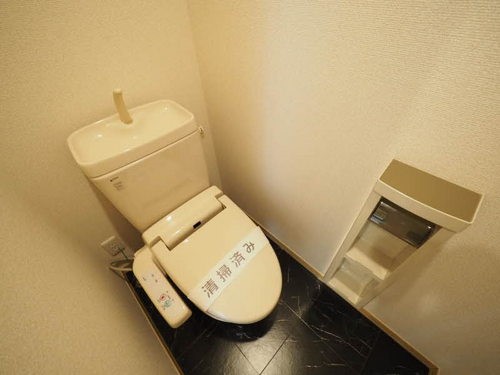 ソイエ トイレ