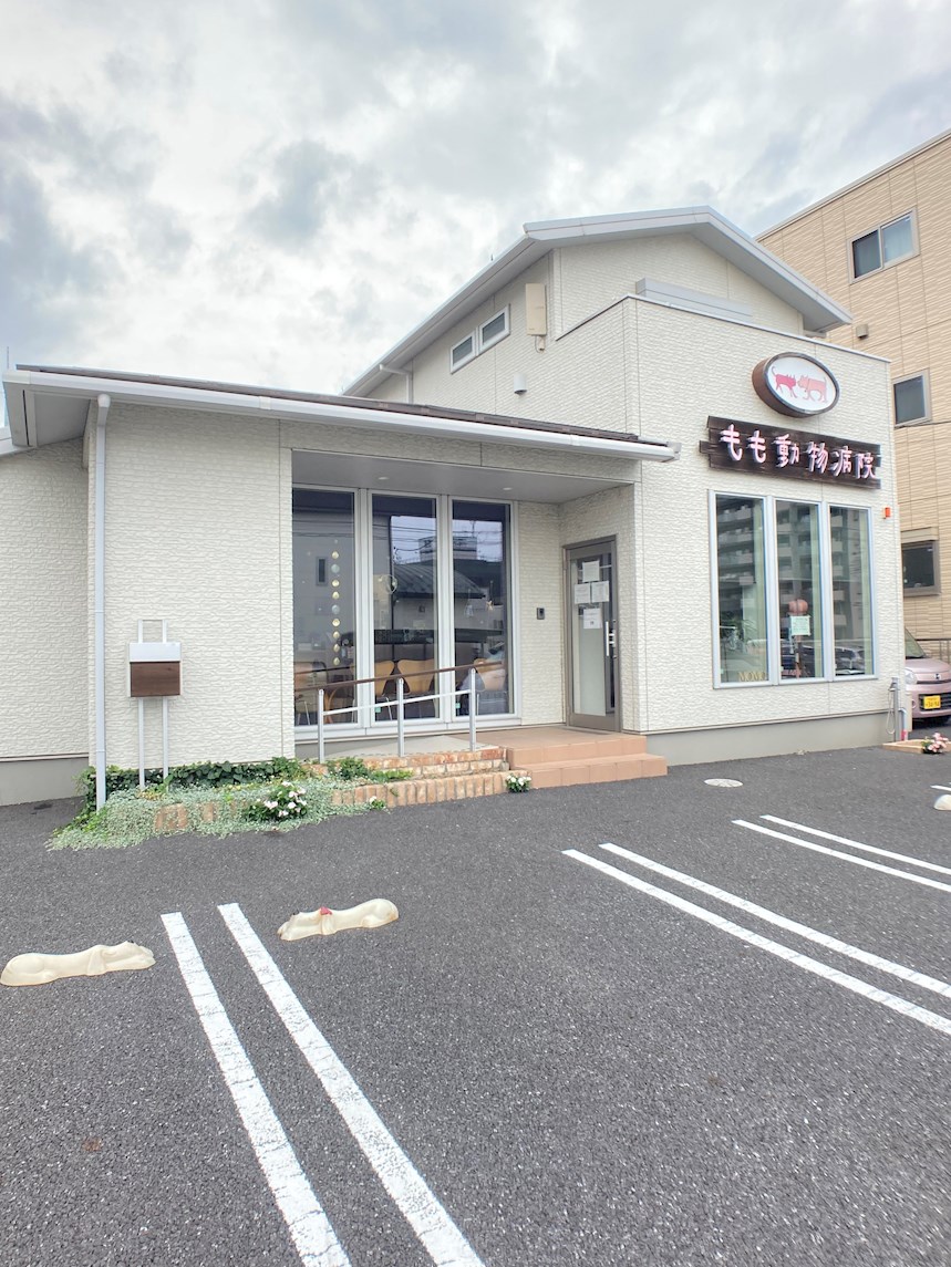 シモン　ミソノ 周辺画像9