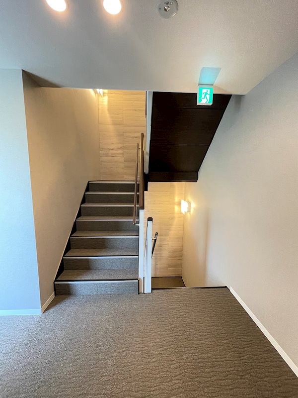 エミネンスゲン その他12