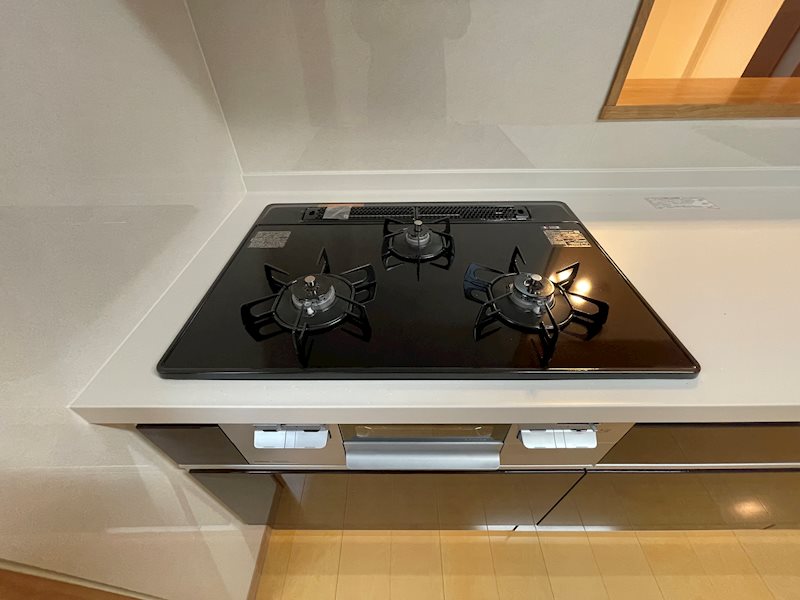 大間木テラスハウス その他1