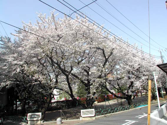 モンターナ南浦和 周辺画像8