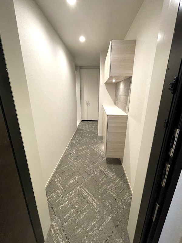 ウィズプラス浦和美園　ウエストC棟     玄関