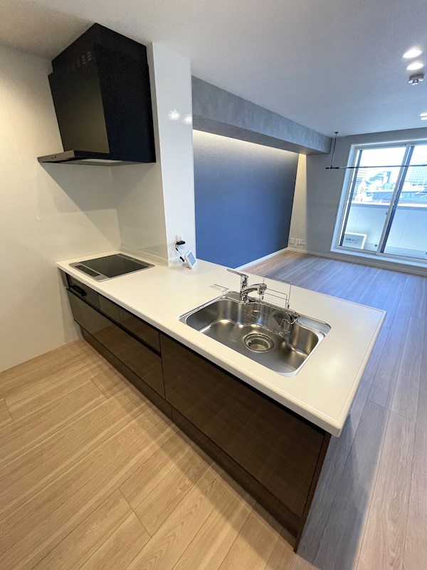 ウィズプラス浦和美園　ウエストD棟        キッチン