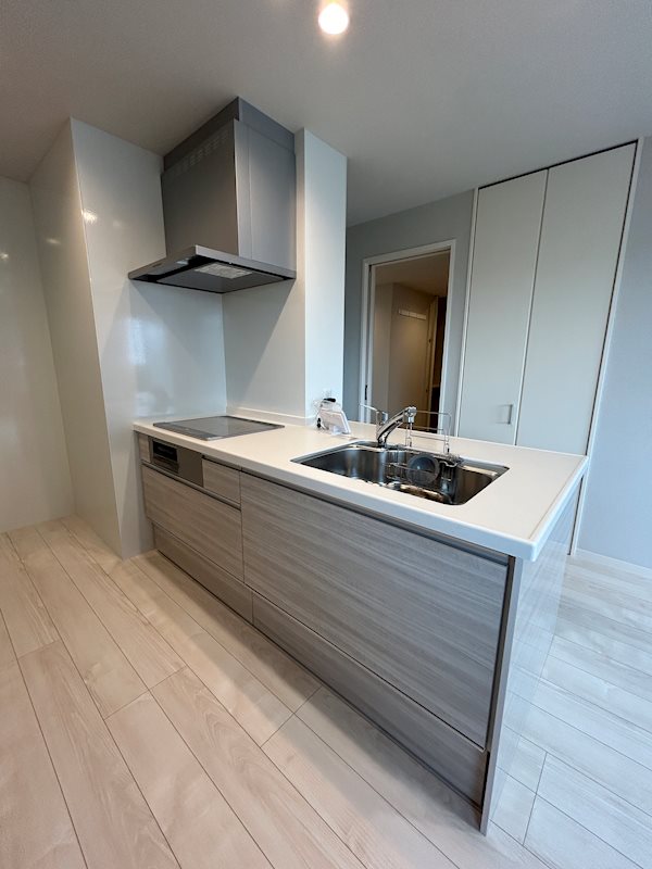 ウィズプラス浦和美園ウエストB棟  キッチン