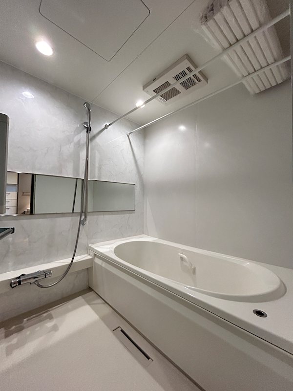 ウィズプラス浦和美園ウエストB棟  風呂画像