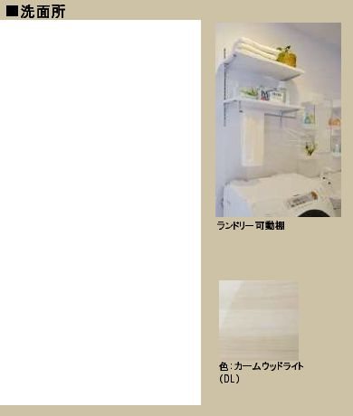 アピオン その他2