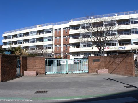 メゾン仲道H 周辺画像1