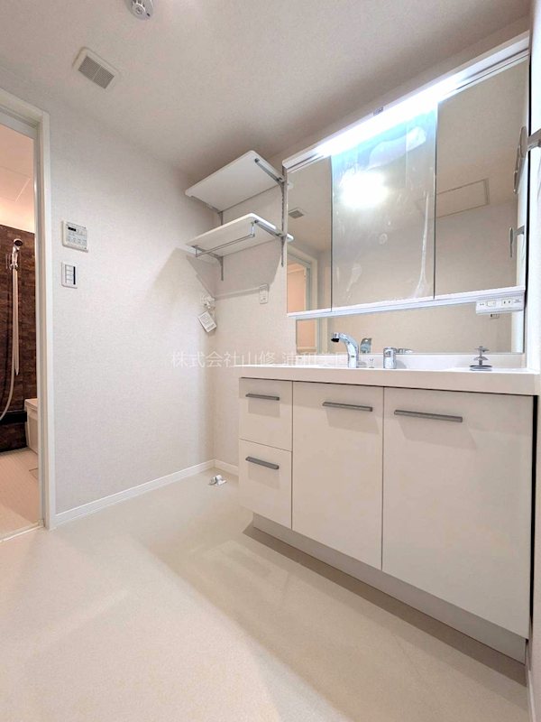 リリーフィア その他5