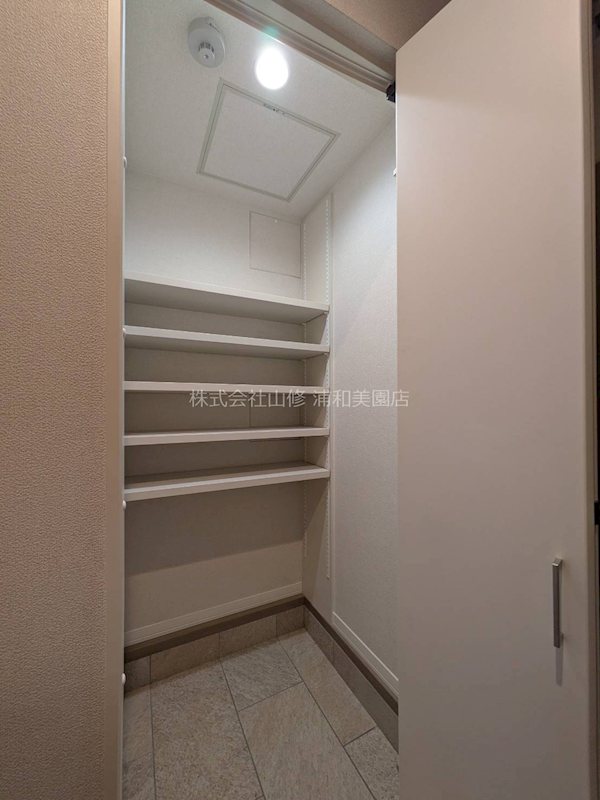 リリーフィア その他1