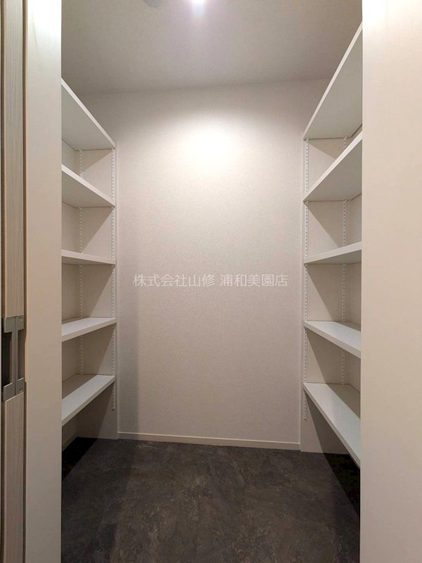 リリーフィア その他1