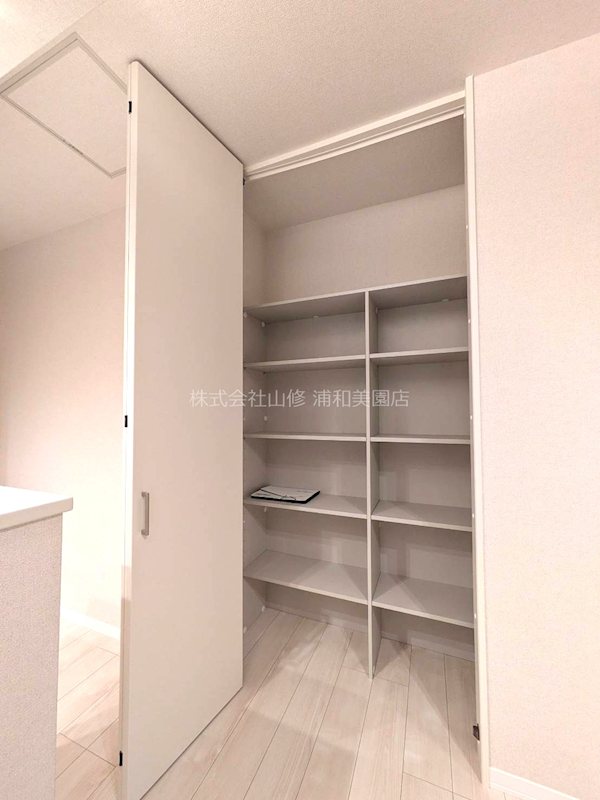 リリーフィア その他3