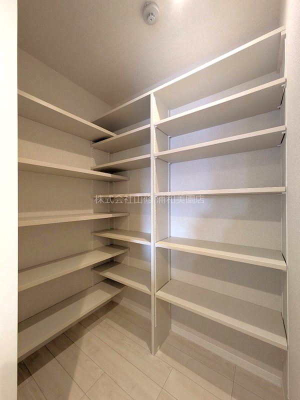 リリーフィア その他11