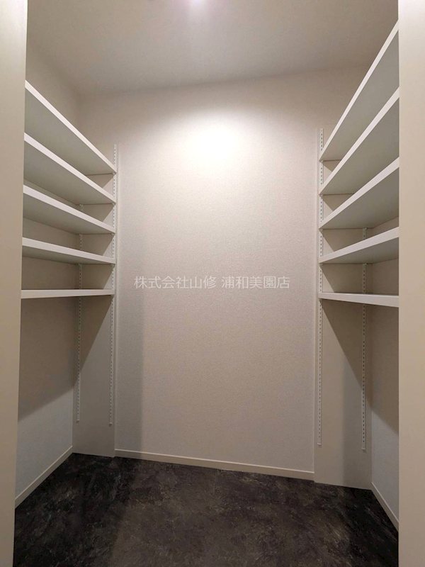 リリーフィア その他1