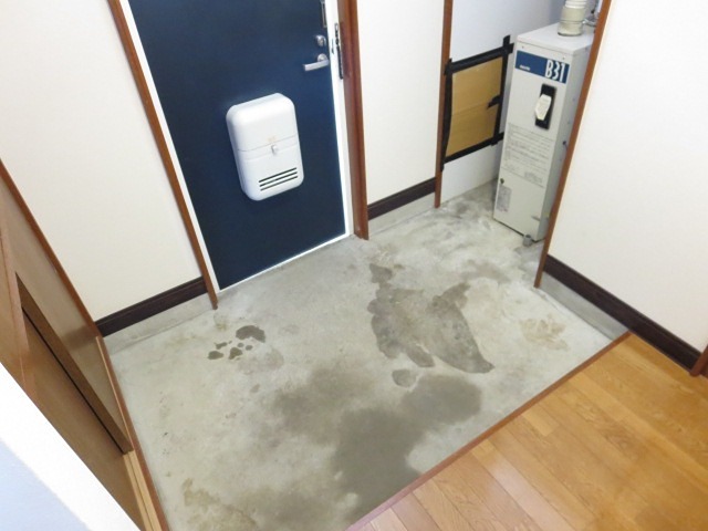 メゾンフォルテシモ 玄関