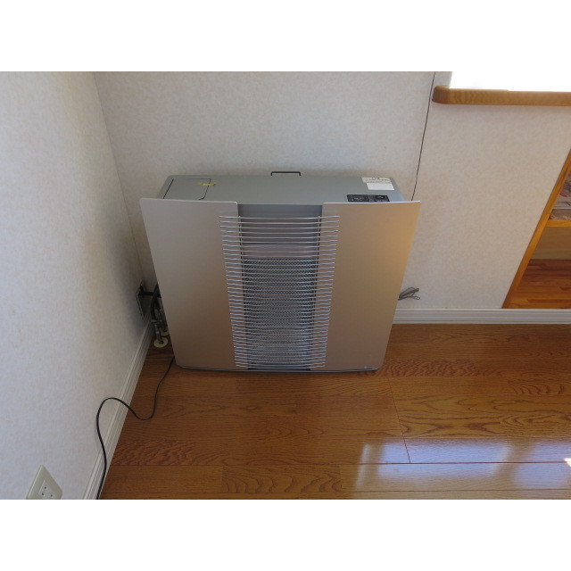 サンフラワー その他