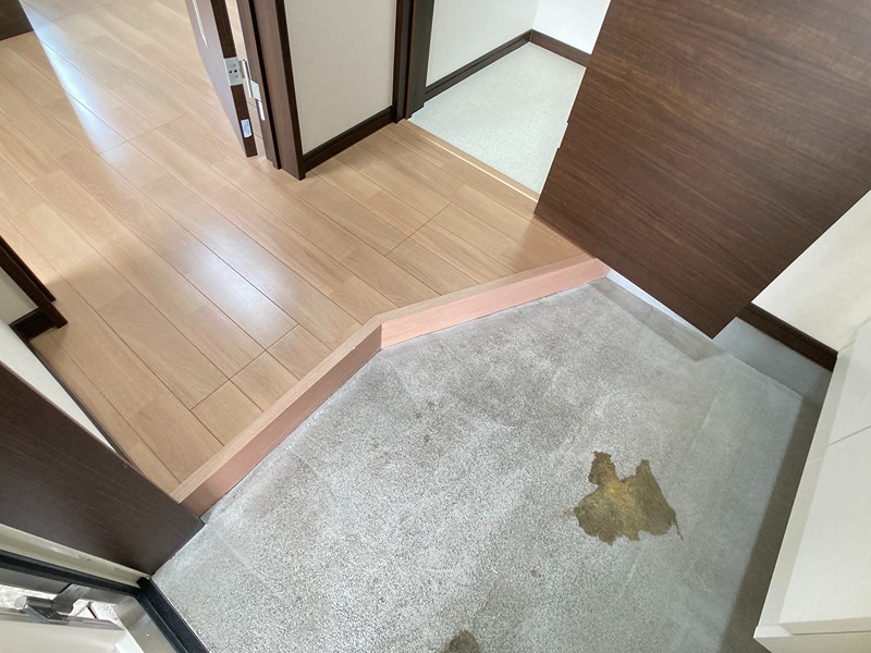 ハピネスライト 玄関