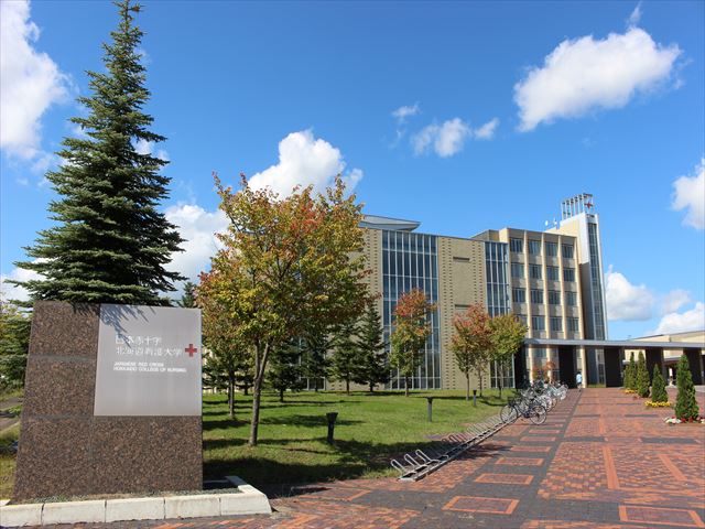 アナザーラピュタ 大学・短大