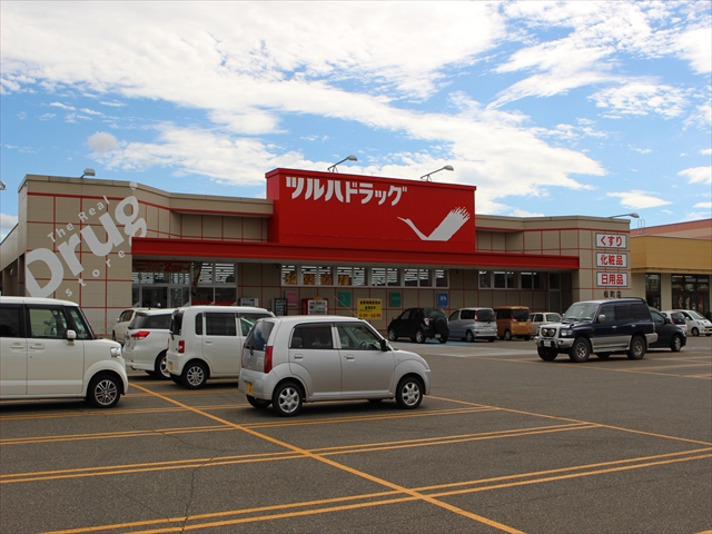 コーポはっとり ドラッグストア