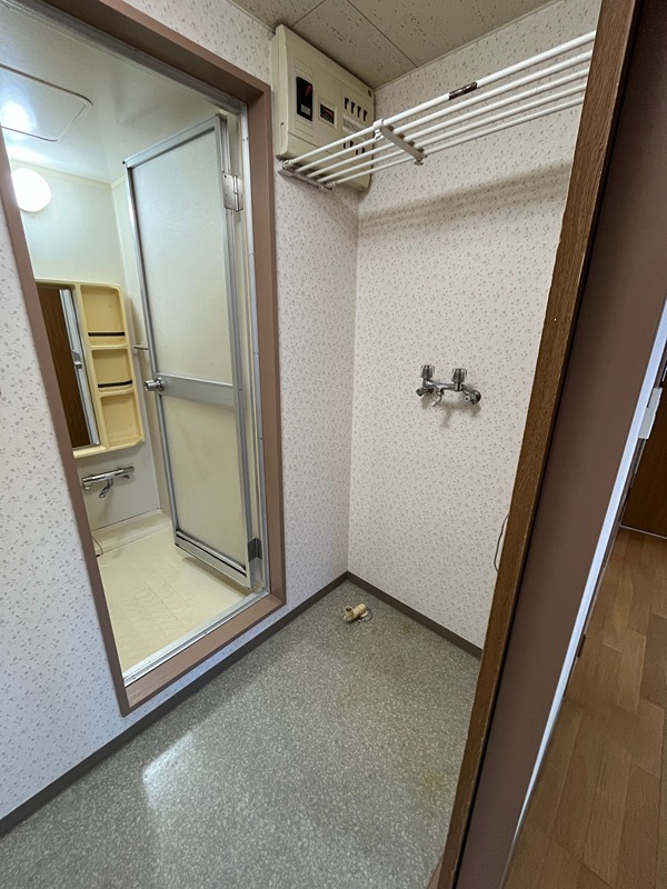 アレグロビル その他