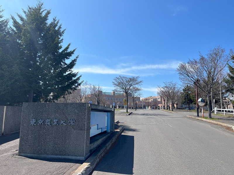 リバティ呼人 大学・短大