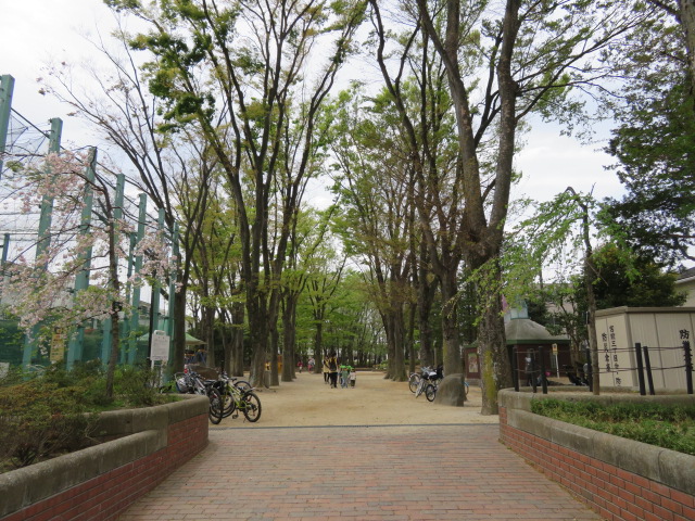 さつき荘 公園