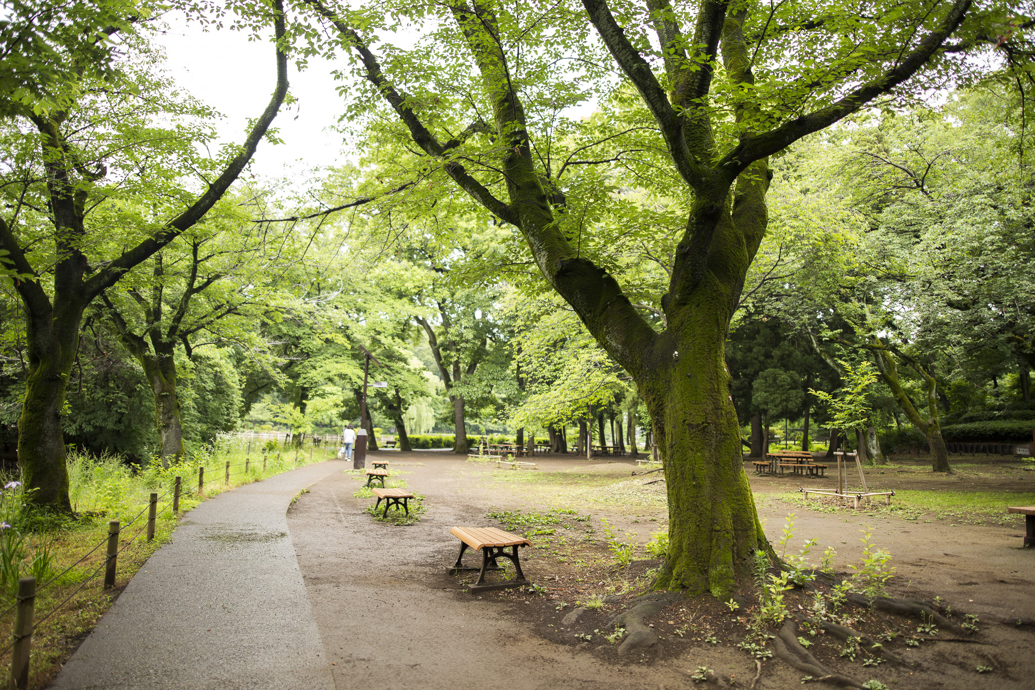 コーポ横山 公園