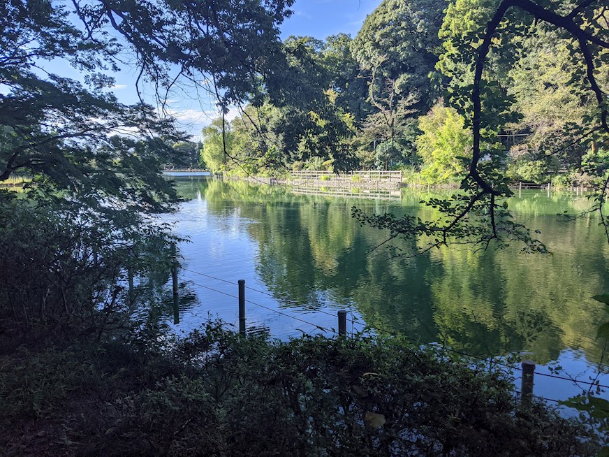 コーポ横山 公園
