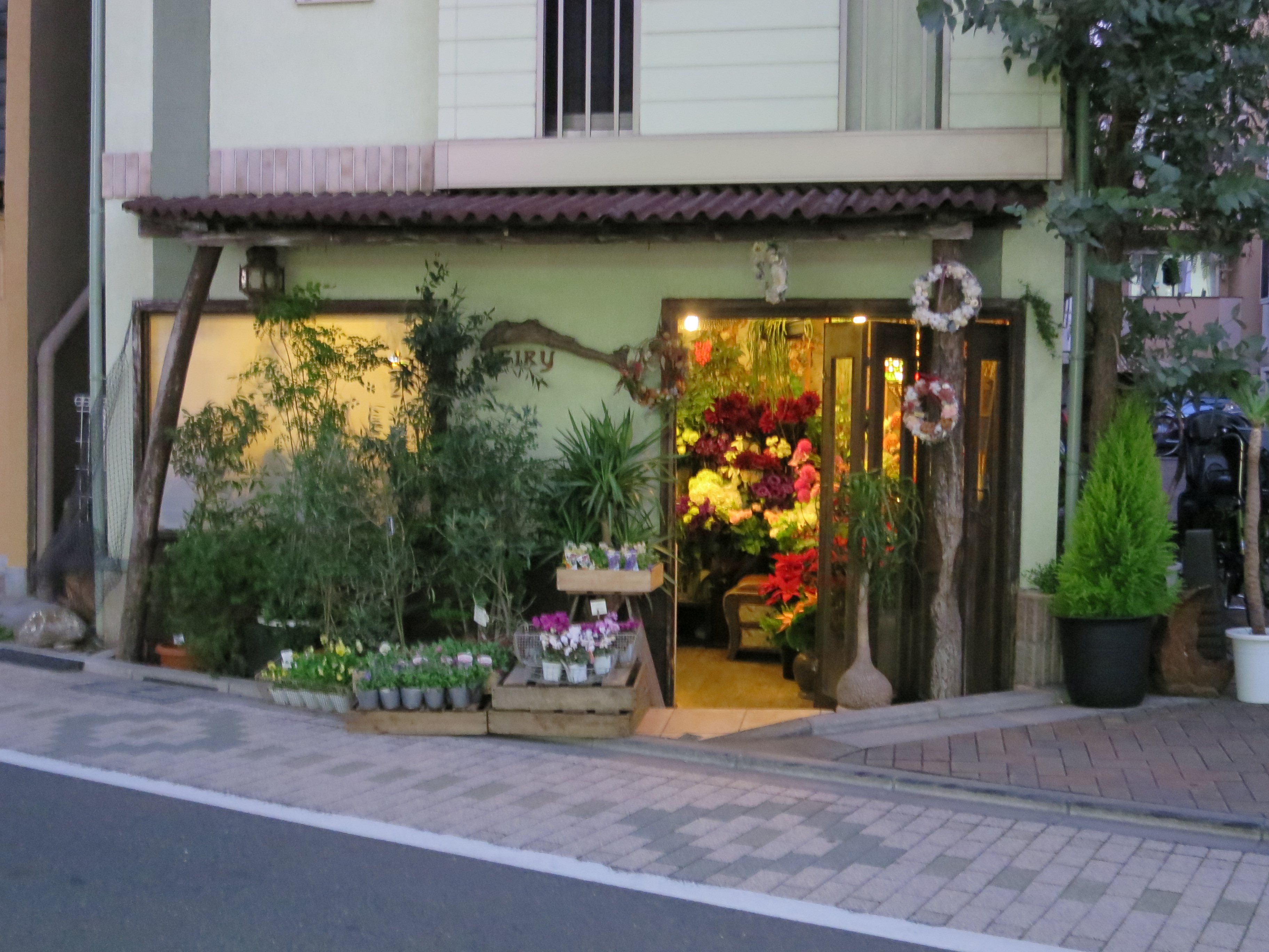 アイレックス・ヴィレッジ その他