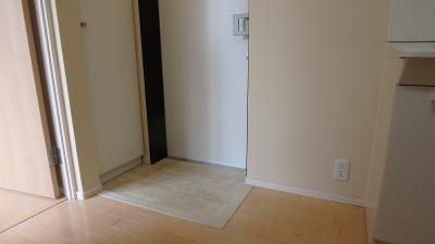 レセーナ滝野川 玄関