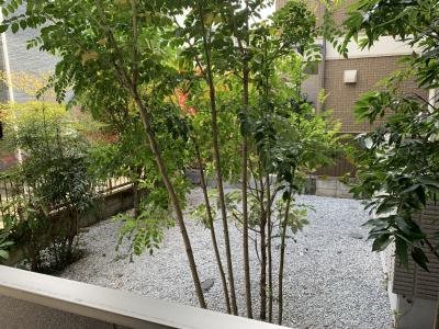 Full Field その他10