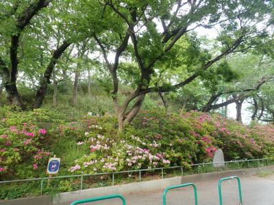 加賀町グリーンハイツ 公園