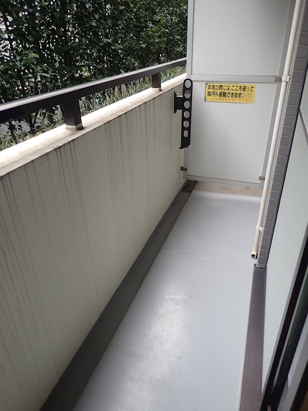 テラスデイジィ その他6