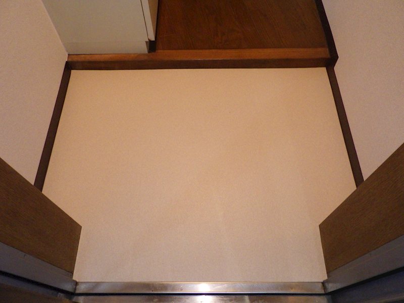 テラスデイジィ 玄関