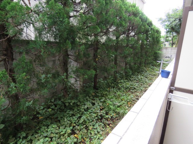 ライラック祖師谷 眺望