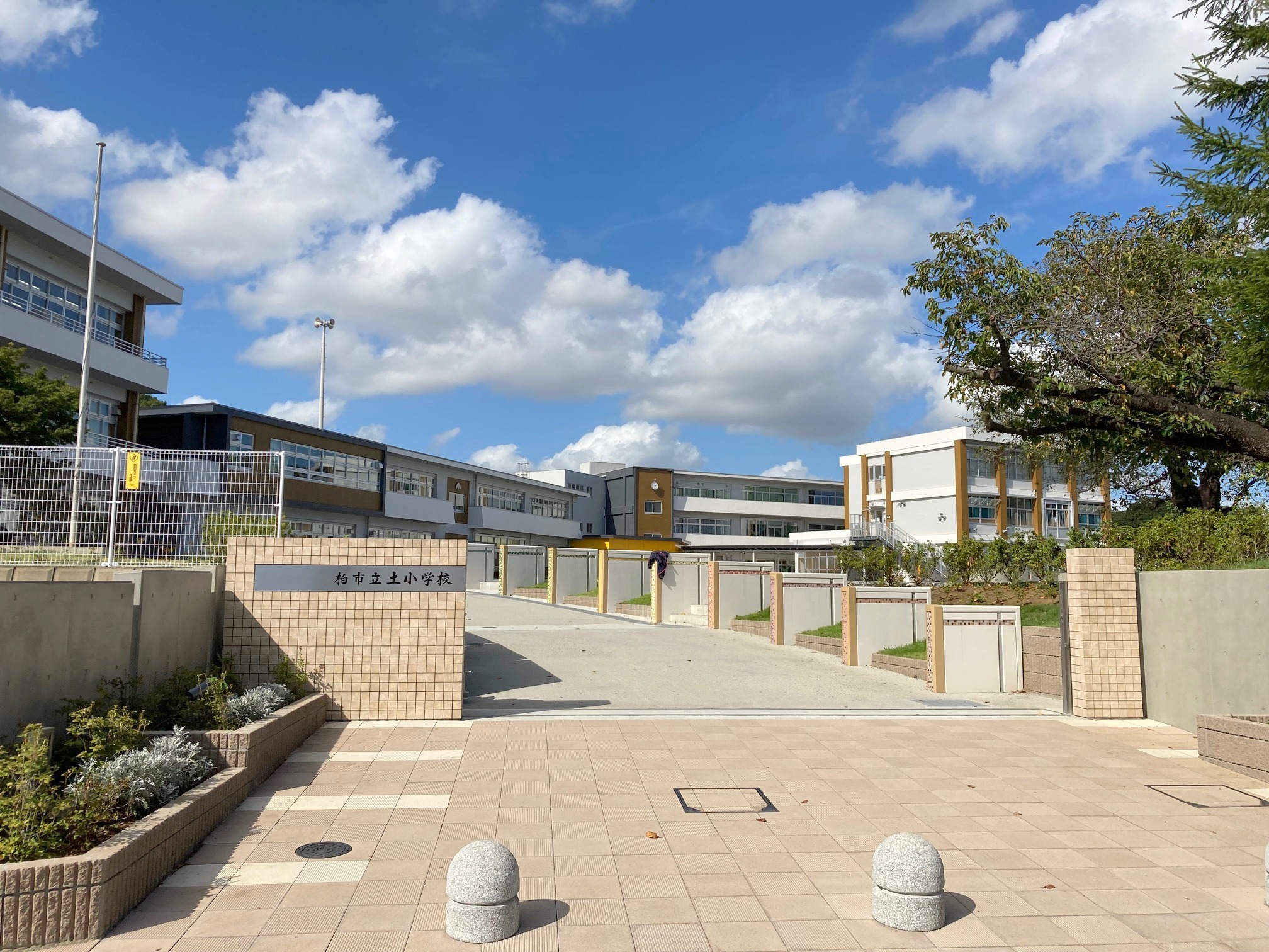 フルール 小学校
