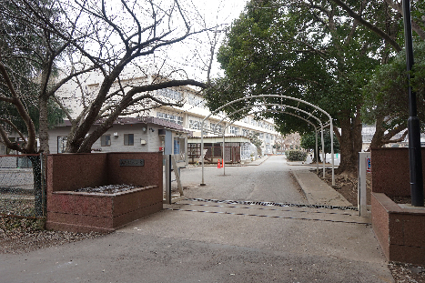 ブエナビスタ 小学校