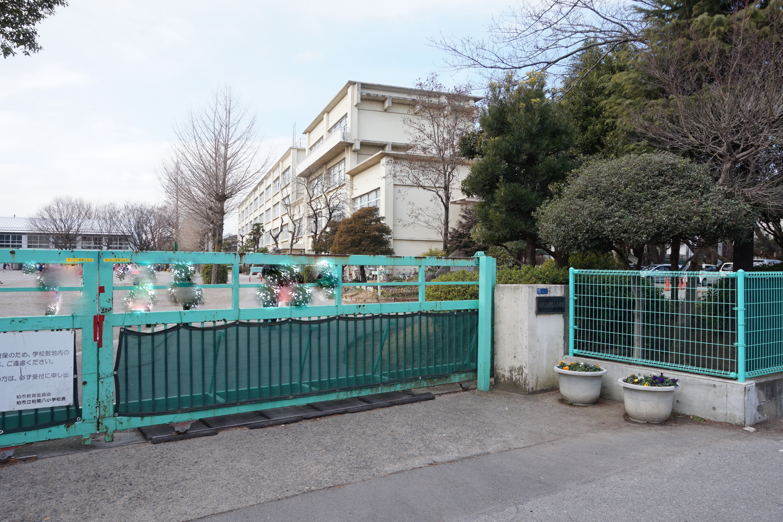 グレイスコート 小学校