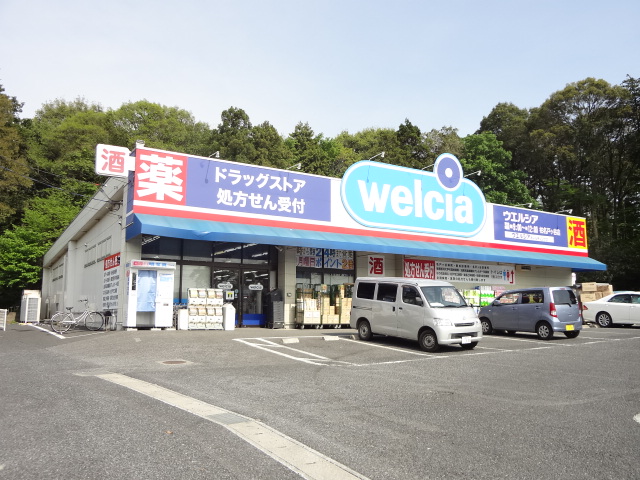 グレイスコート ドラッグストア