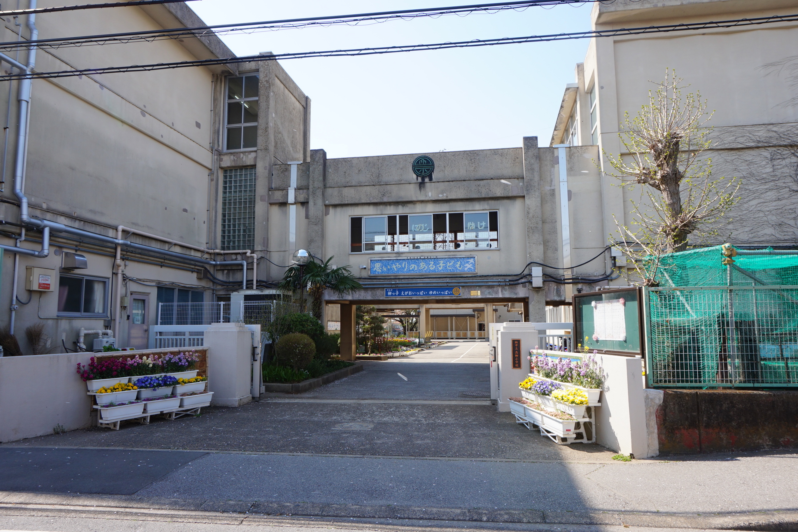ルーチェＢ 小学校