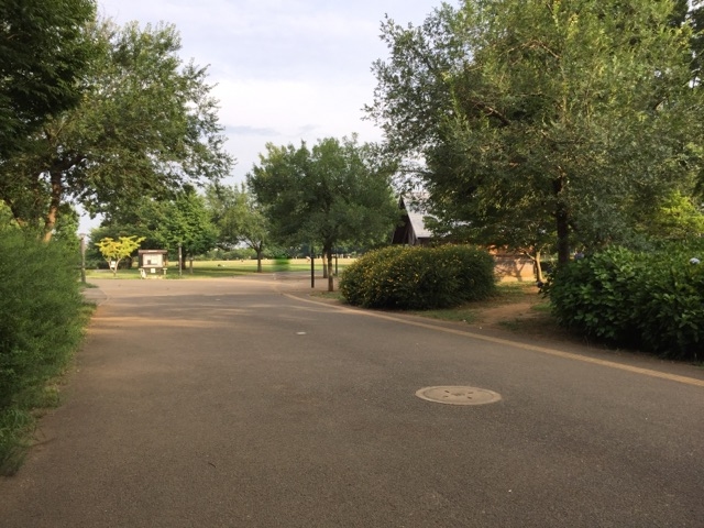 グリーンルーフ 公園