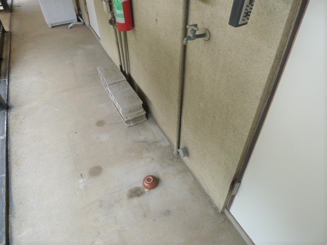 第一藤原コーポ その他