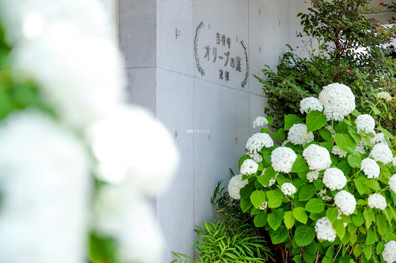 吉祥寺・オリーブの庭　東棟 その他