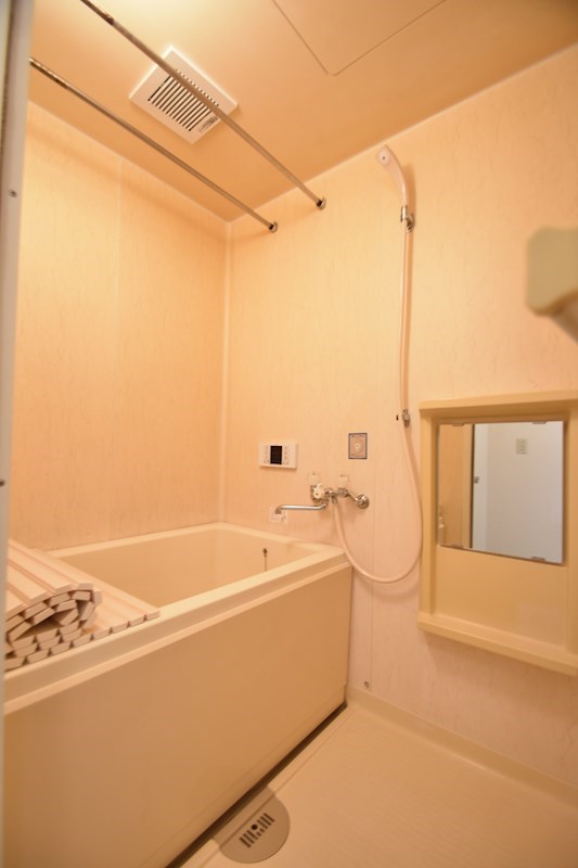 グランメールオオイシ 風呂画像