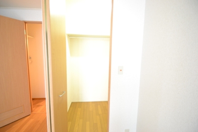 Dream Lights その他1