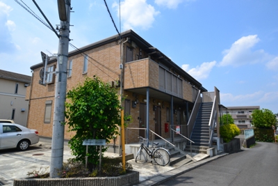 Dream Lights その他5