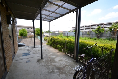 Dream Lights その他6