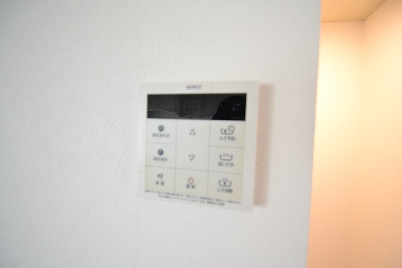 たちばな（橘） その他19